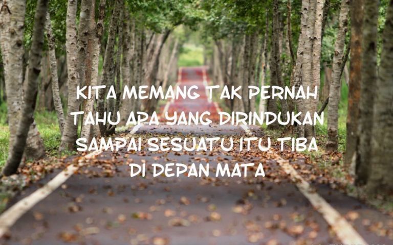Quotes Tentang Menunggu Jodoh yang Belum Juga Datang. Renungkan Biar