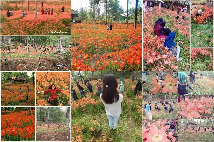 taman amarilys jadi rusak