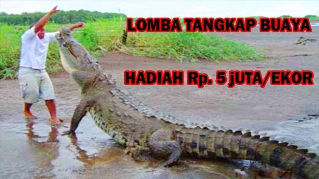 kalau ekornya doang boleh nggak sih?