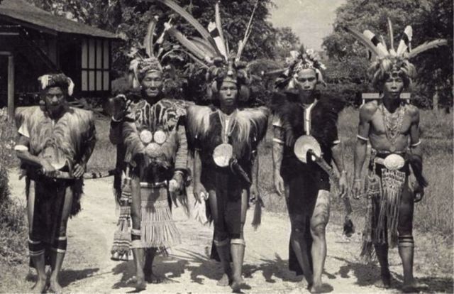 Pasukan kayau dayak
