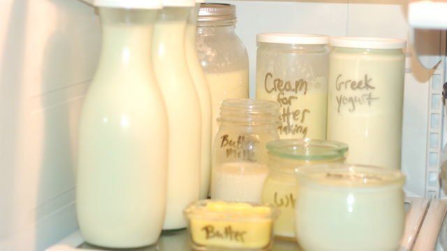 Dear Calon Ibu Muda, Inilah 10 Cara Menyimpan Makanan Dalam Kulkas yang