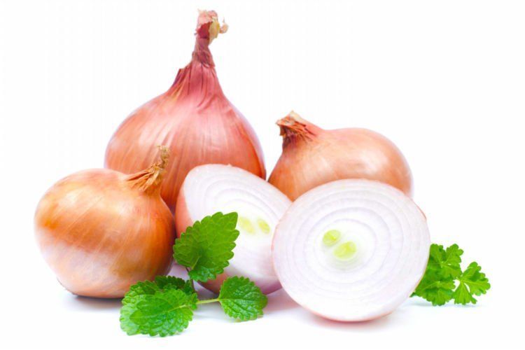Bawang juga mengadn