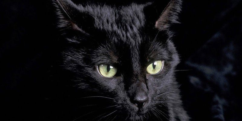 Yuk Belajar Untuk Mengetahui Mitos Dan Khurafat Dalam Pandangan Islam