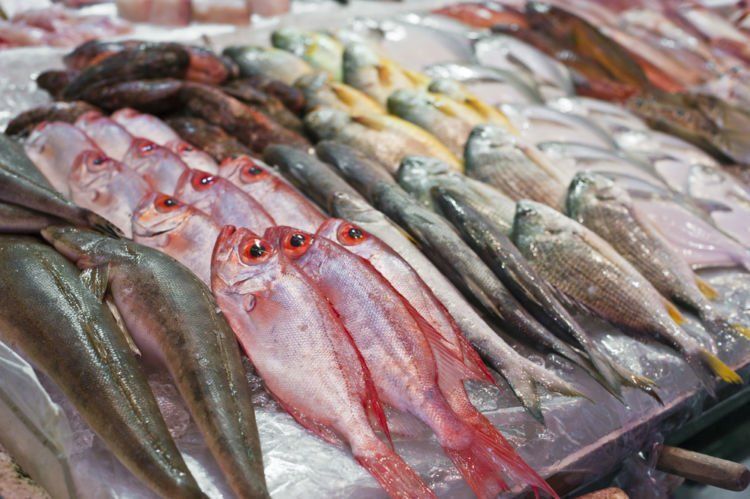 ganti ikan atau ayam