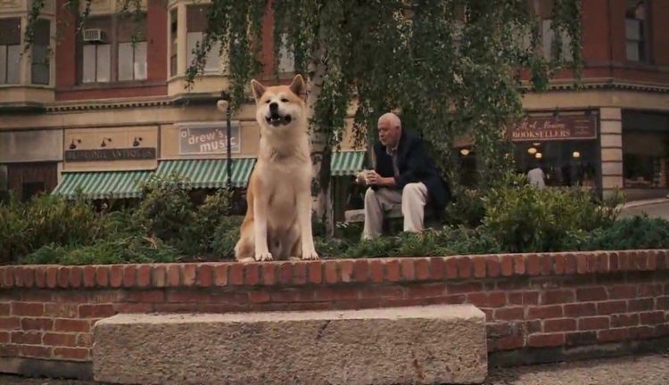 Kesetiaan Hachiko menunggu Tuannya selama 9 tahun, menjadi kisah paling haru di Jepang, tentang kesetiaan.