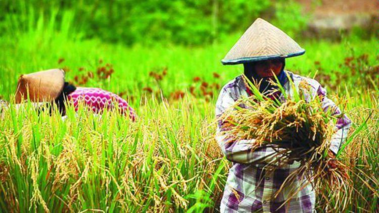 Angka Pengangguran Di Indonesia Turun, Anehnya Justru Yang 
