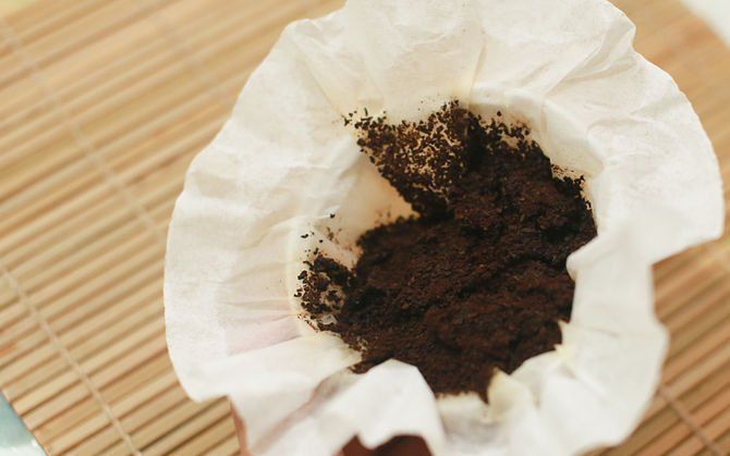 kopi