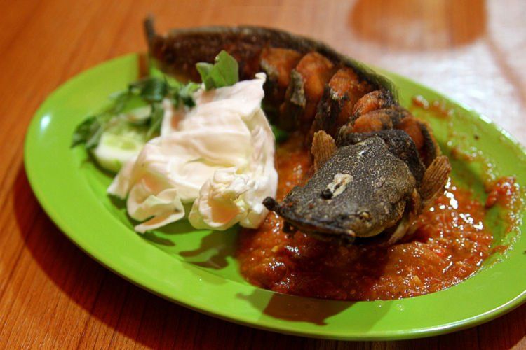 pele, pecel lele~