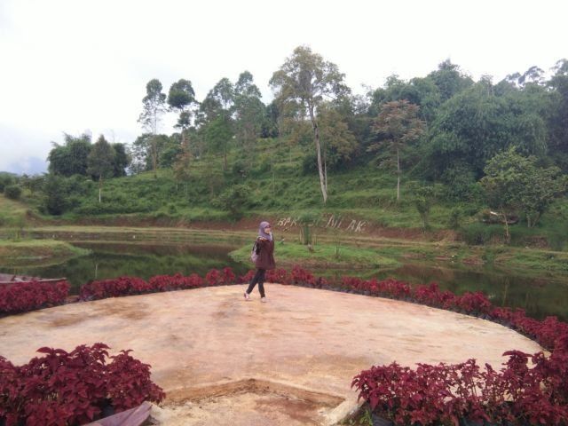 Pulau Cinta