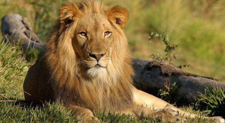 Yuk Perbaiki Karakter Dirimu Ketika Menghadapi Ragam Situasi Hidup ...