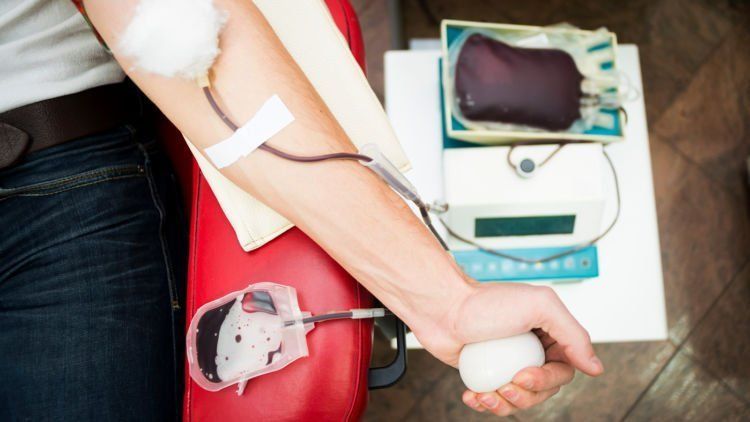 setelah donor darah
