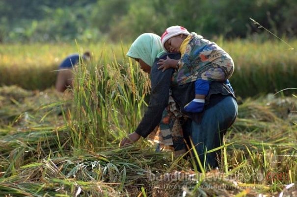 Kerja keras ibu