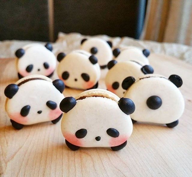 panda!