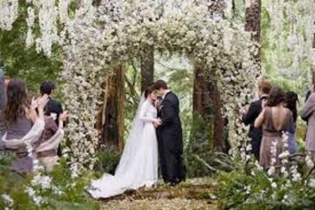 breaking dawn
