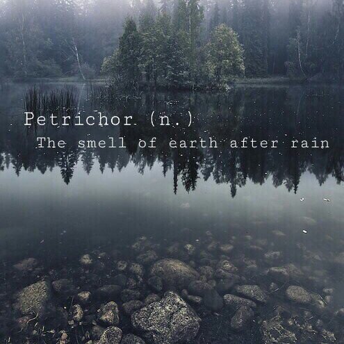 petrichor1-7272