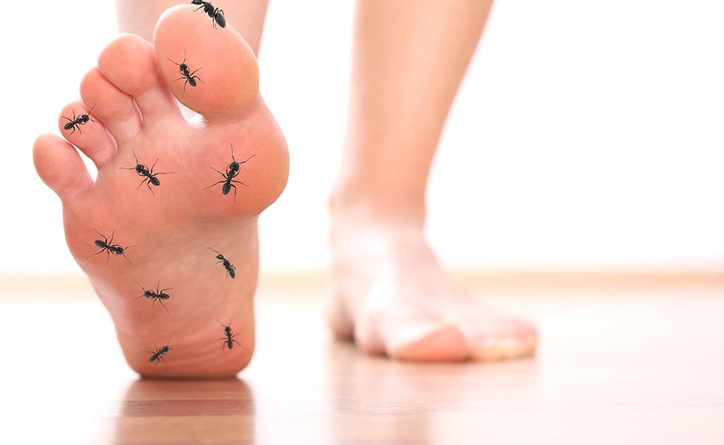 Sepele Tapi Bikin Jengkel Inilah Yang Terjadi Ke Badanmu Saat Kesemutan Kalau Sering Bahaya Juga