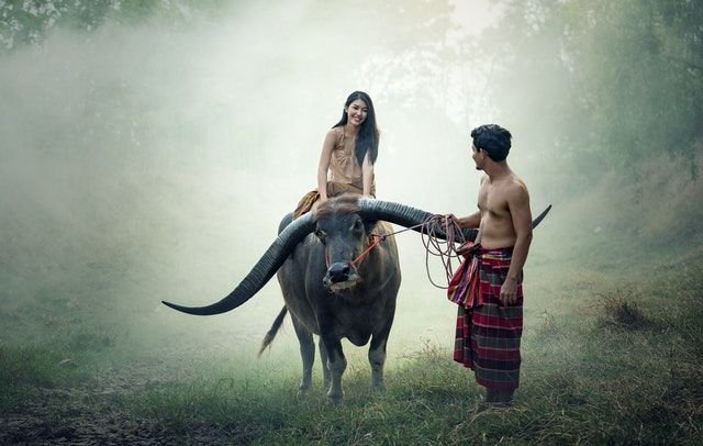 Pernah Bahagia