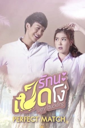 ugly duckling series: perfect match