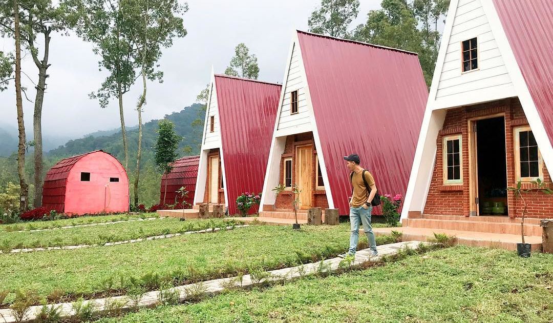 Penginapan Murah di Malang, Ada Yang Instagramable Lho! Petualang