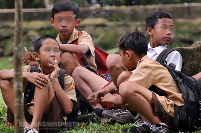 harianbhirawa.com