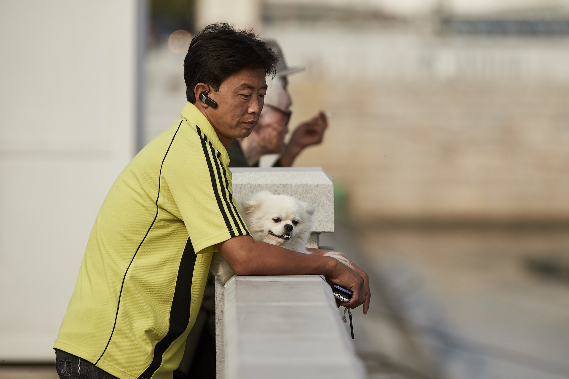 Suho exo 2022. дорама поужинаем вместе сон сын хон. корейские богачи. постер дорамы богачи. богачи в северной корее.