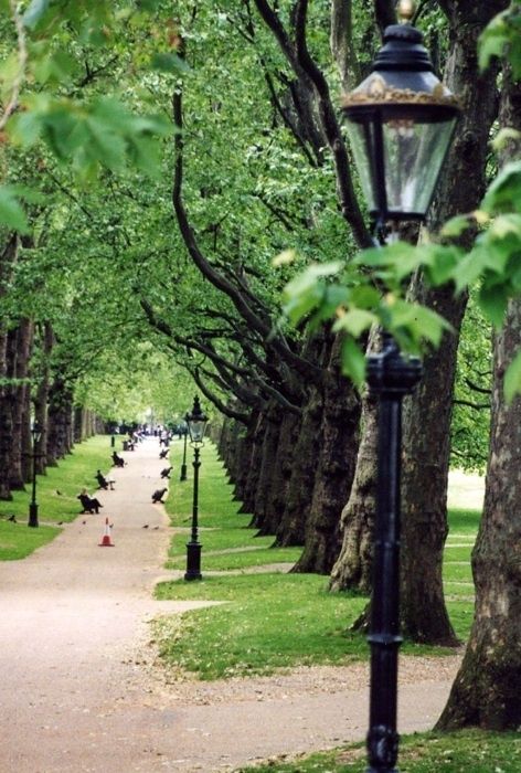 Hyde Park, London