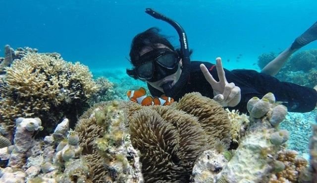 Diving di Pulau Kapoposan