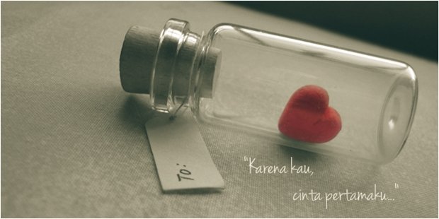 Untukmu Cinta Pertamaku Yang Telah Pergi