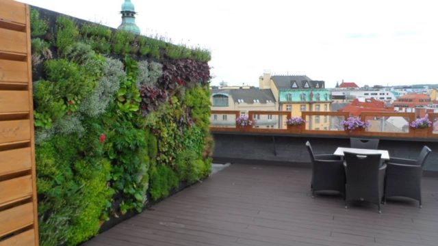 vertikal garden
