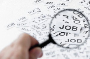 Job Search