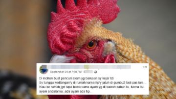 Kumpulan Artikel Ayam Jago