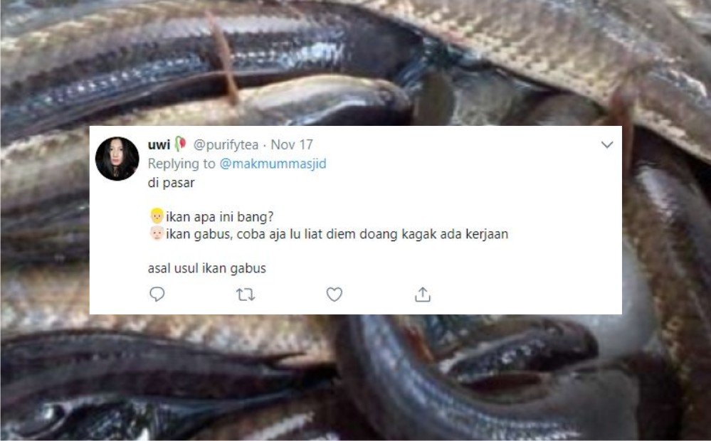 12 Sejarah Asal Usul Nama Ikan Versi Warganet Twitter 12 Sejarah Asal Usul Nama Ikan Versi Warganet Twitter