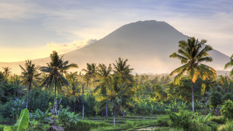 Sensitifisme Toleransi Refleksi atau Reaksi?