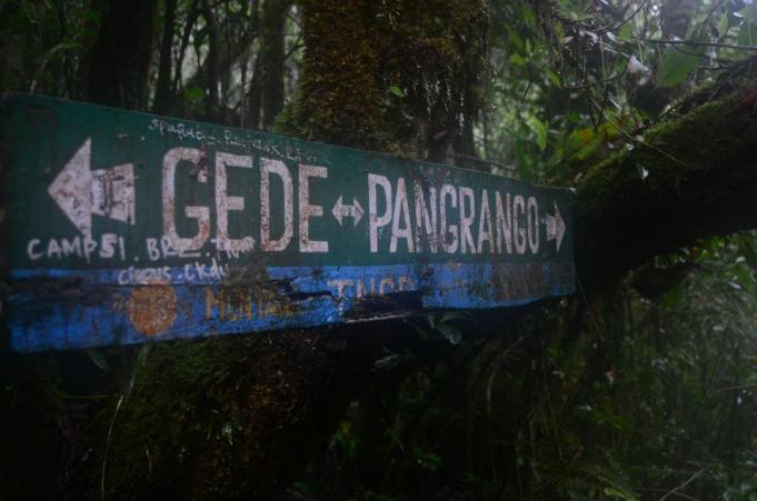 Kisah Misteri Gunung Gede Pangrango