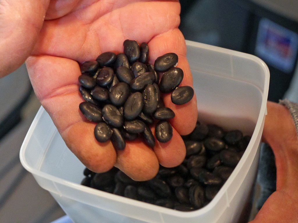 8 Bahan Pewarna Hitam Alami yang Dipakai untuk Bikin Es Krim Hingga Piza