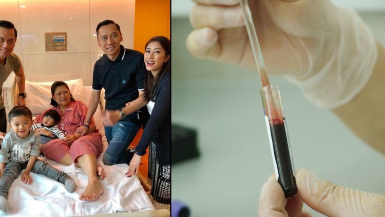 Ciri Ciri Penyakit Kanker Darah Leukimia - Ini Cirinya