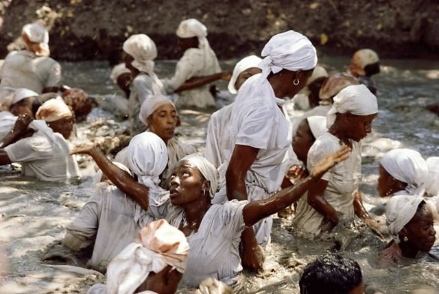 Photo by Steve Winter, National Geographic stock