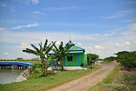 Pesawahan