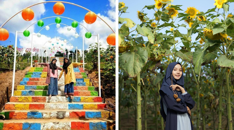 80+ Gambar Bunga Matahari Dan Potnya Terbaik 80+ Gambar Bunga Matahari Dan Potnya Terbaik