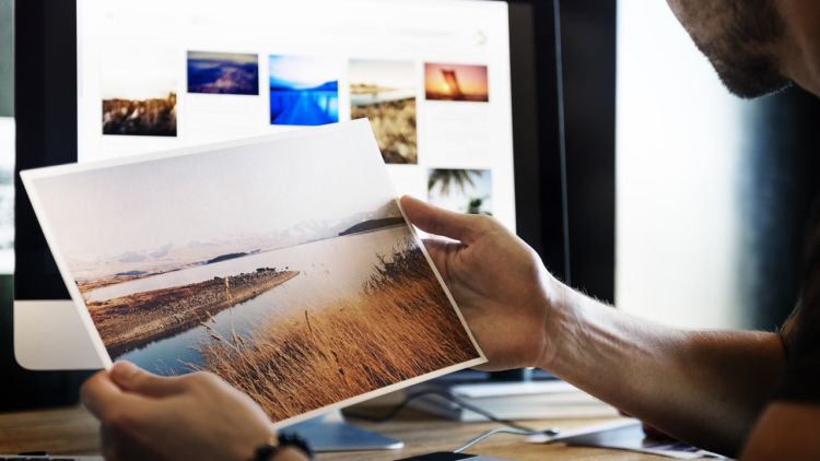 76 Gambar Bagus Pixabay Paling Keren 76 Gambar Bagus Pixabay Paling Keren