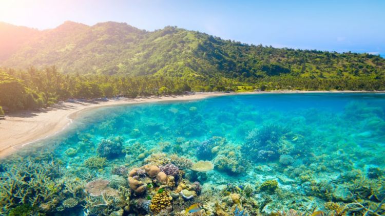 Hasil gambar untuk Lombok