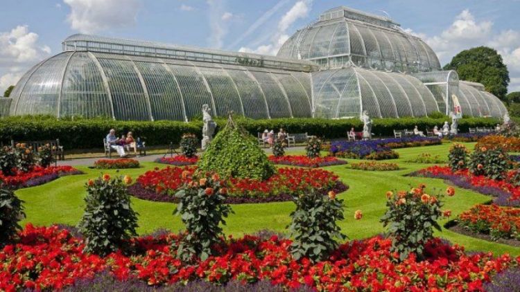 5 Daftar Wisata Kebun Raya di Indonesia Paling Cocok Buat Mengisi