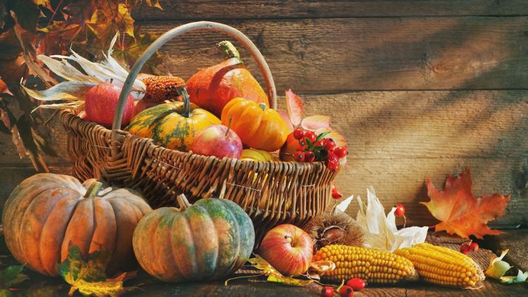 6 Tradisi Perayaan Thanksgiving Di Berbagai Belahan Dunia<script async src=