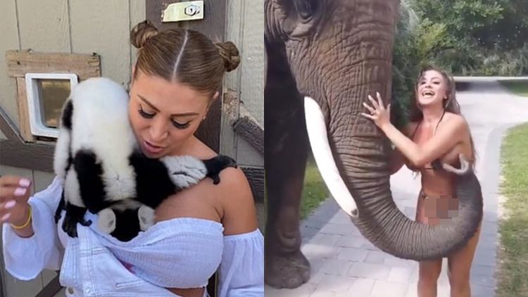 11 Potret Hewan Nggak Punya Sopan Santun. Dibilangin Susah Banget