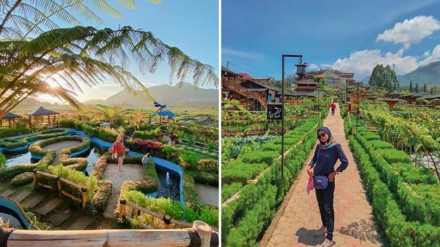 Cafe Sawah Pujon Kidul, Destinasi Hits di Malang yang ...