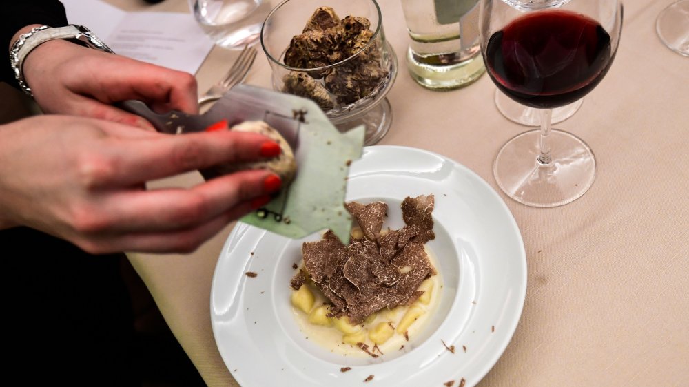 Menguak Fakta Kenapa Truffle Mahal, Jamur yang Dimakan Juri Masterchef