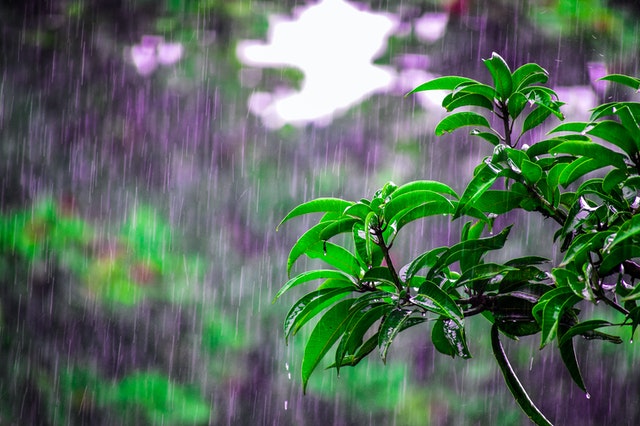 Photo by Bibhukalyan Acharya from Pexels