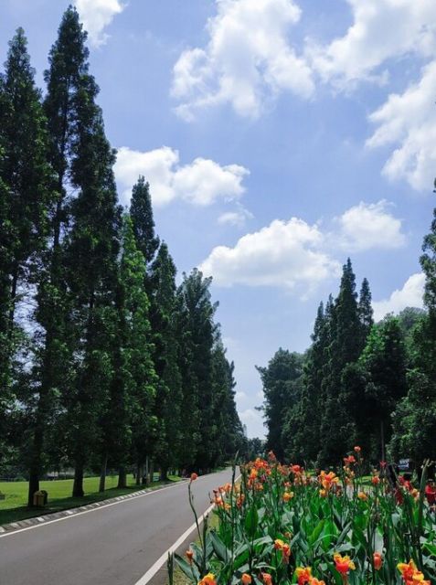 Photo by Andita Fadilah on Pinterest