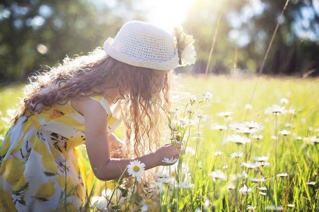 Foto oleh Jill Wellington dari Pexels