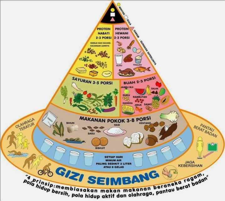 Photo by freewaremini Gambar Piramida Makanan dan 4 Sehat 5 Sempurna